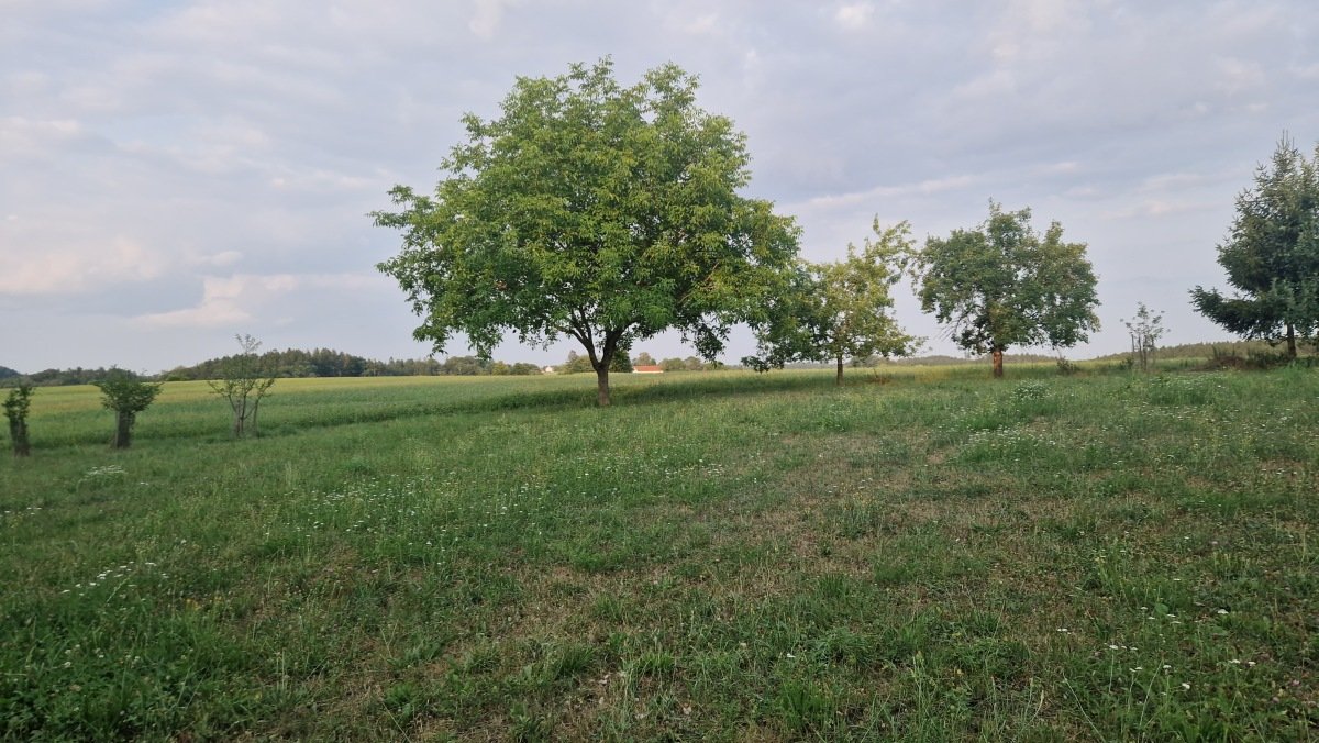 20260726_193215.jpg