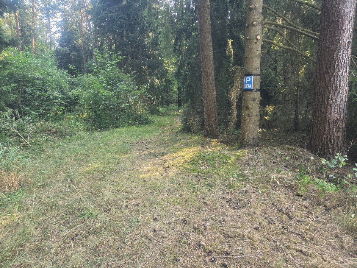 20260726_091110.jpg