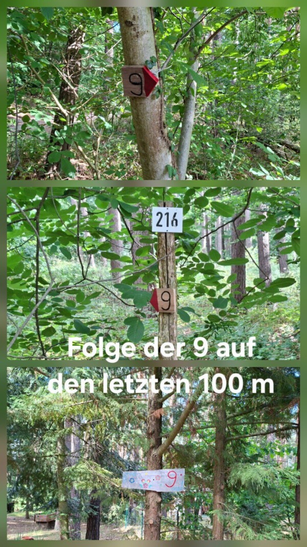 20260727_161515.jpg