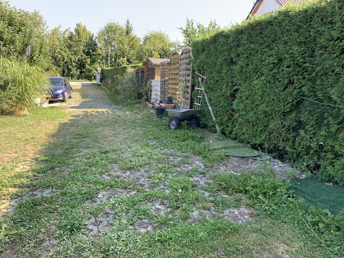 IMG_7077.jpeg