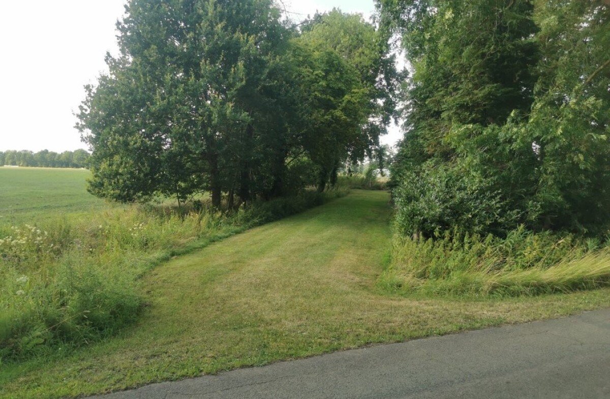 zufahrt-camping-wiese.jpg