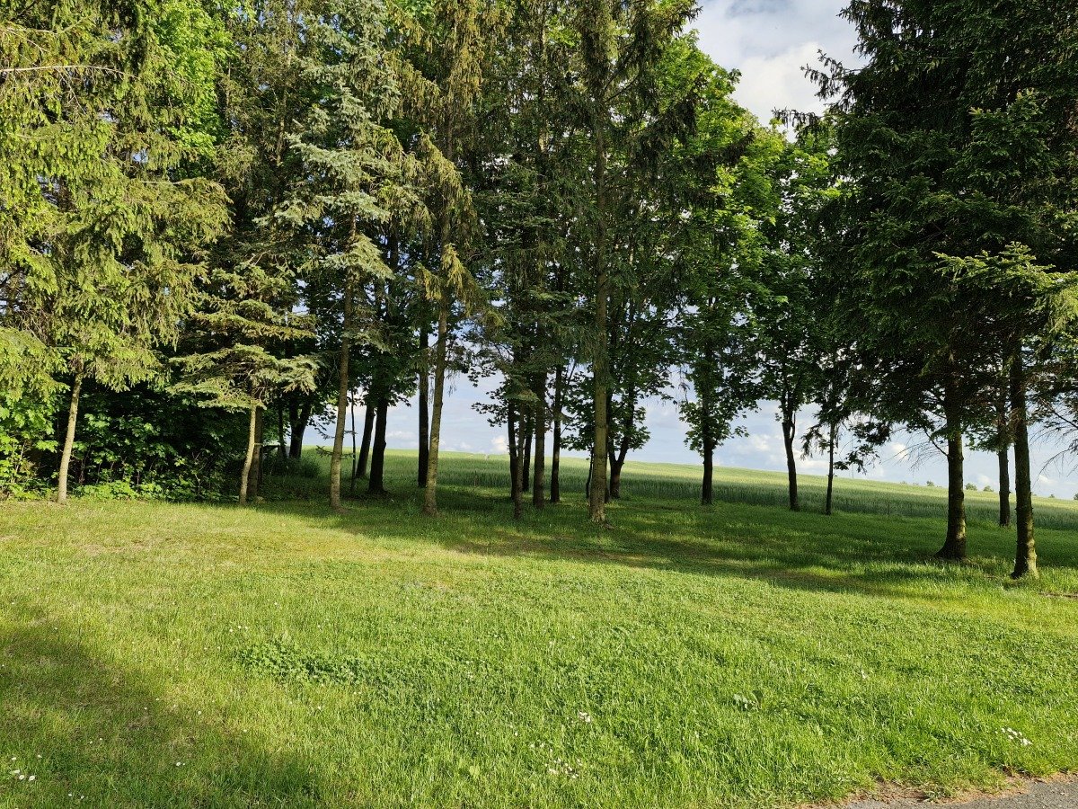 20260521_183759.jpg