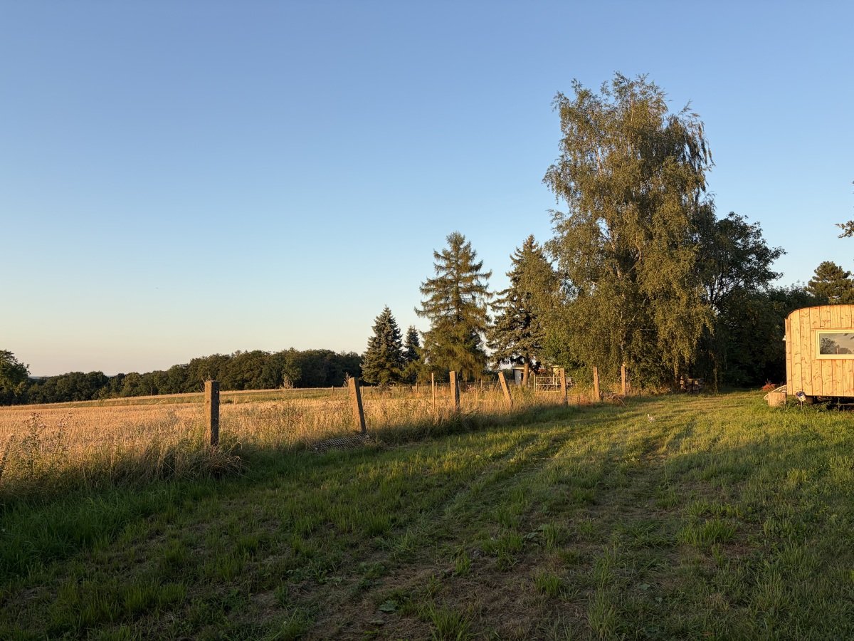IMG_4034.jpeg