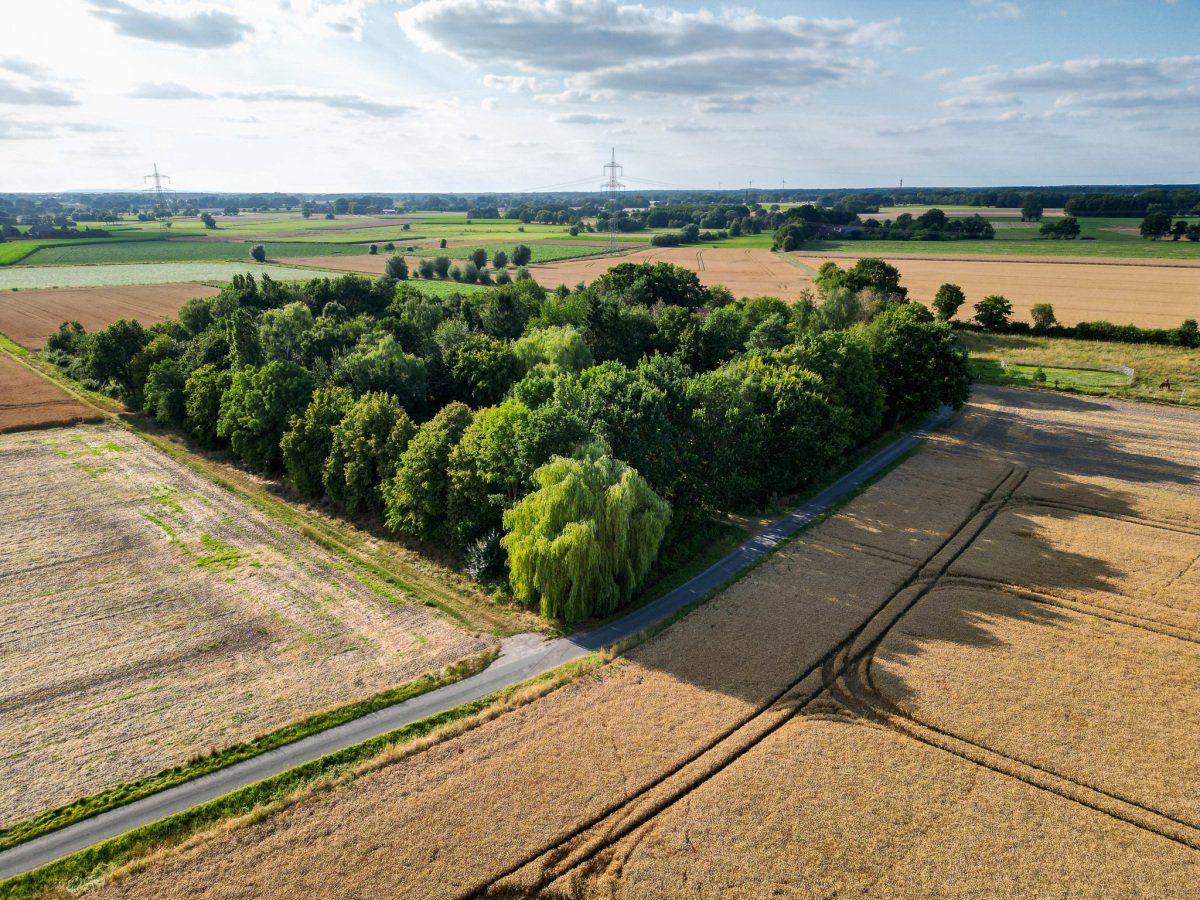 Bruchkamp33-13
