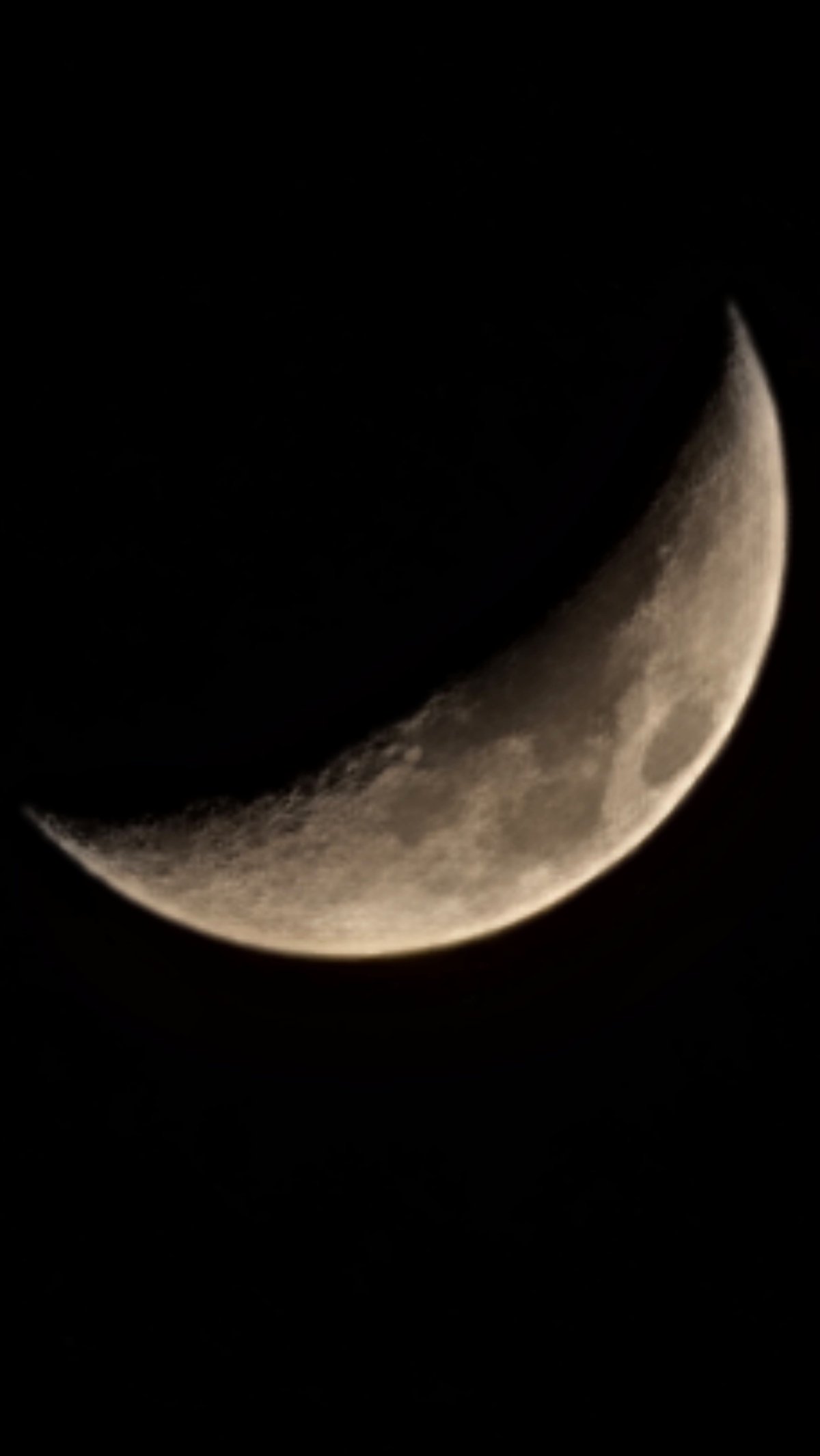 20251225_195238.jpg