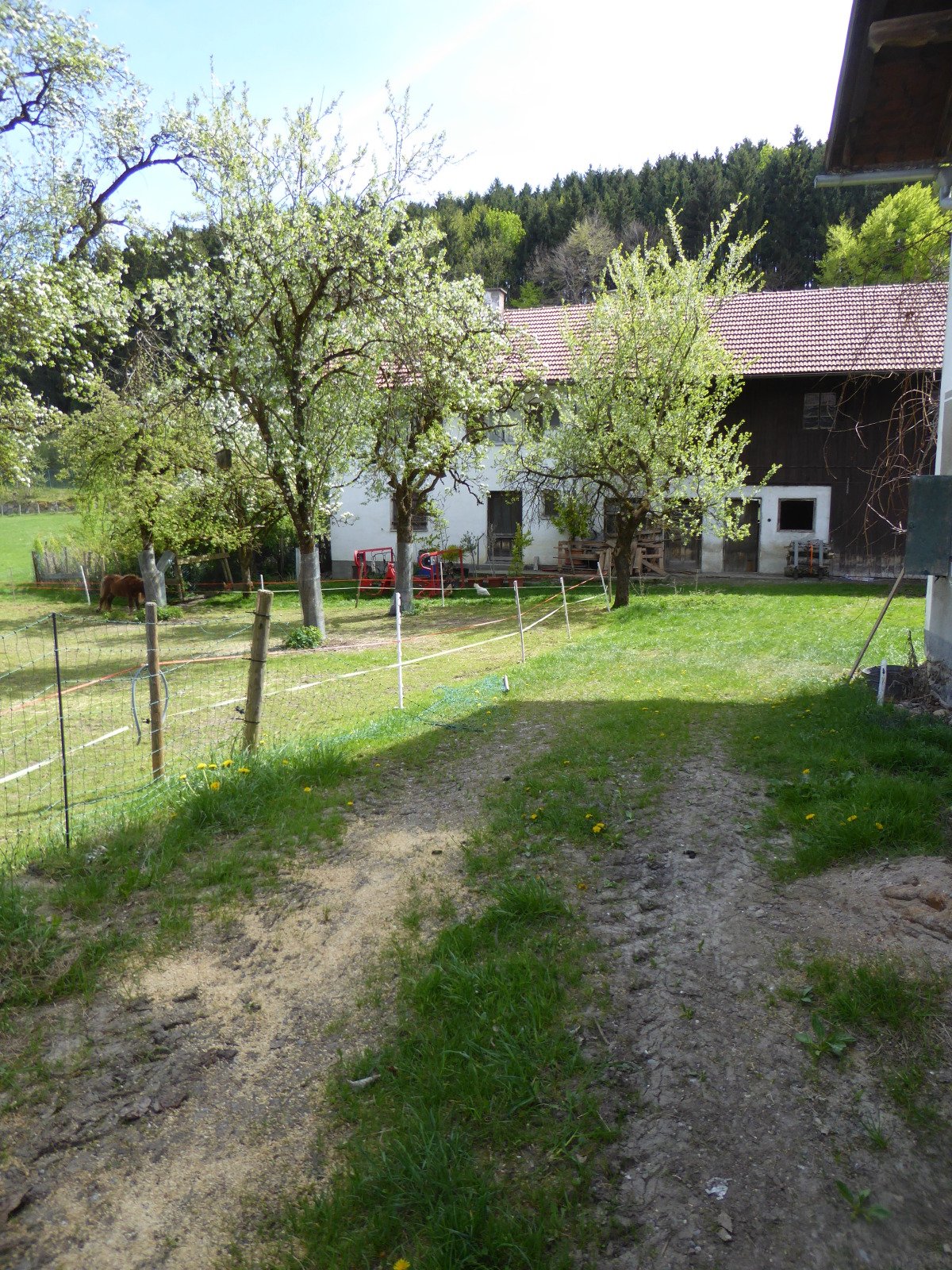P1050928.JPG