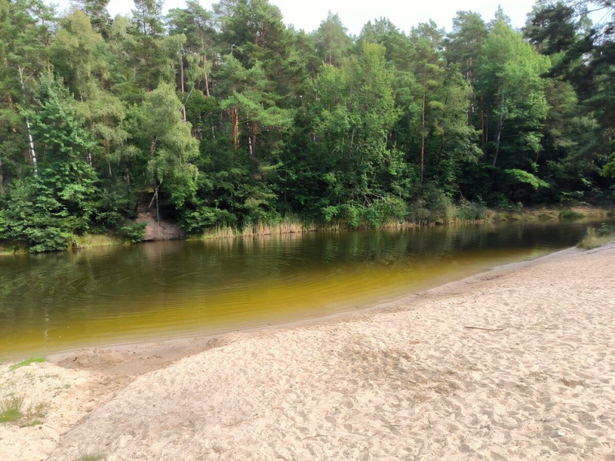 Waldsee