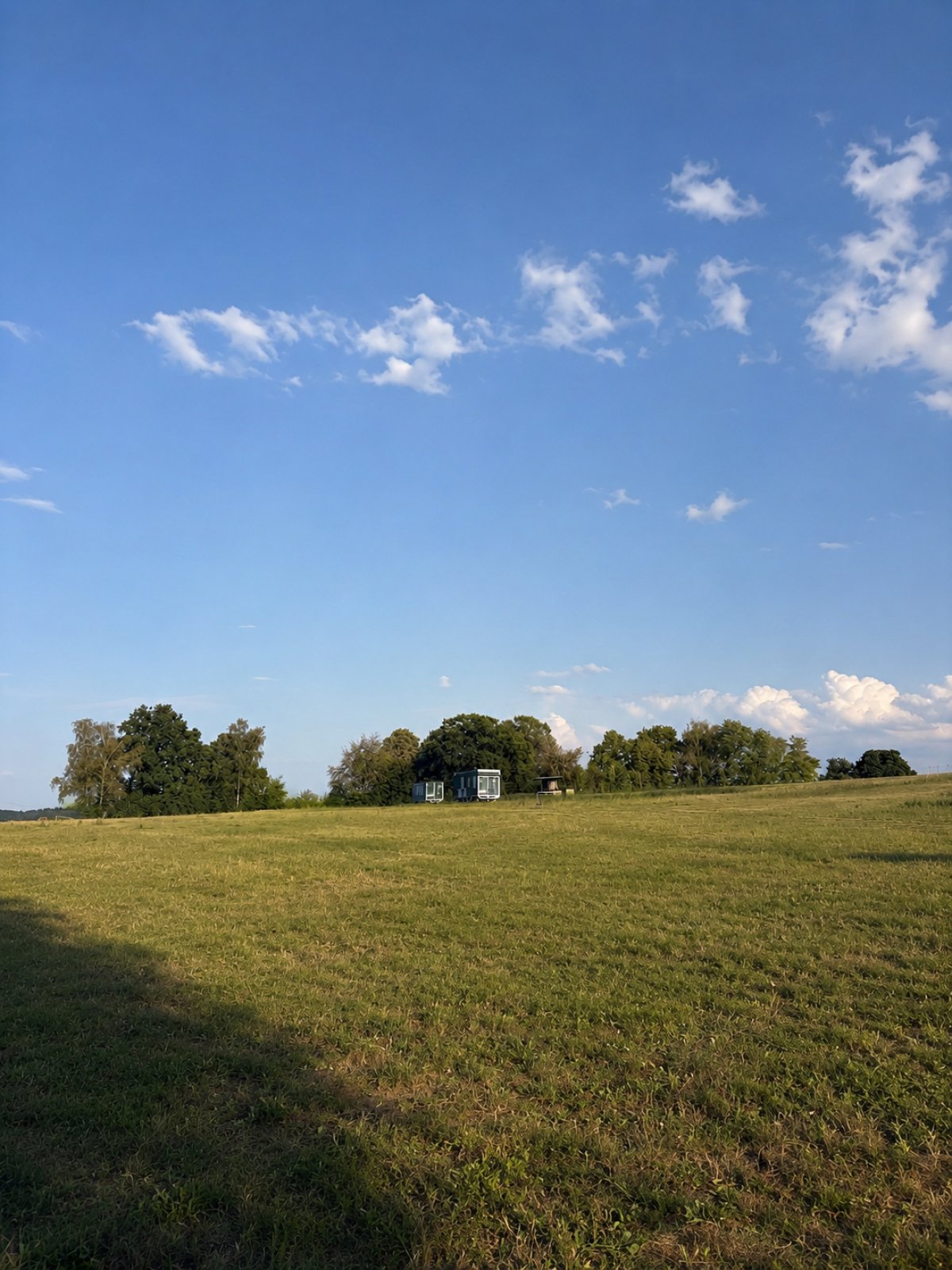 Hühnerweide