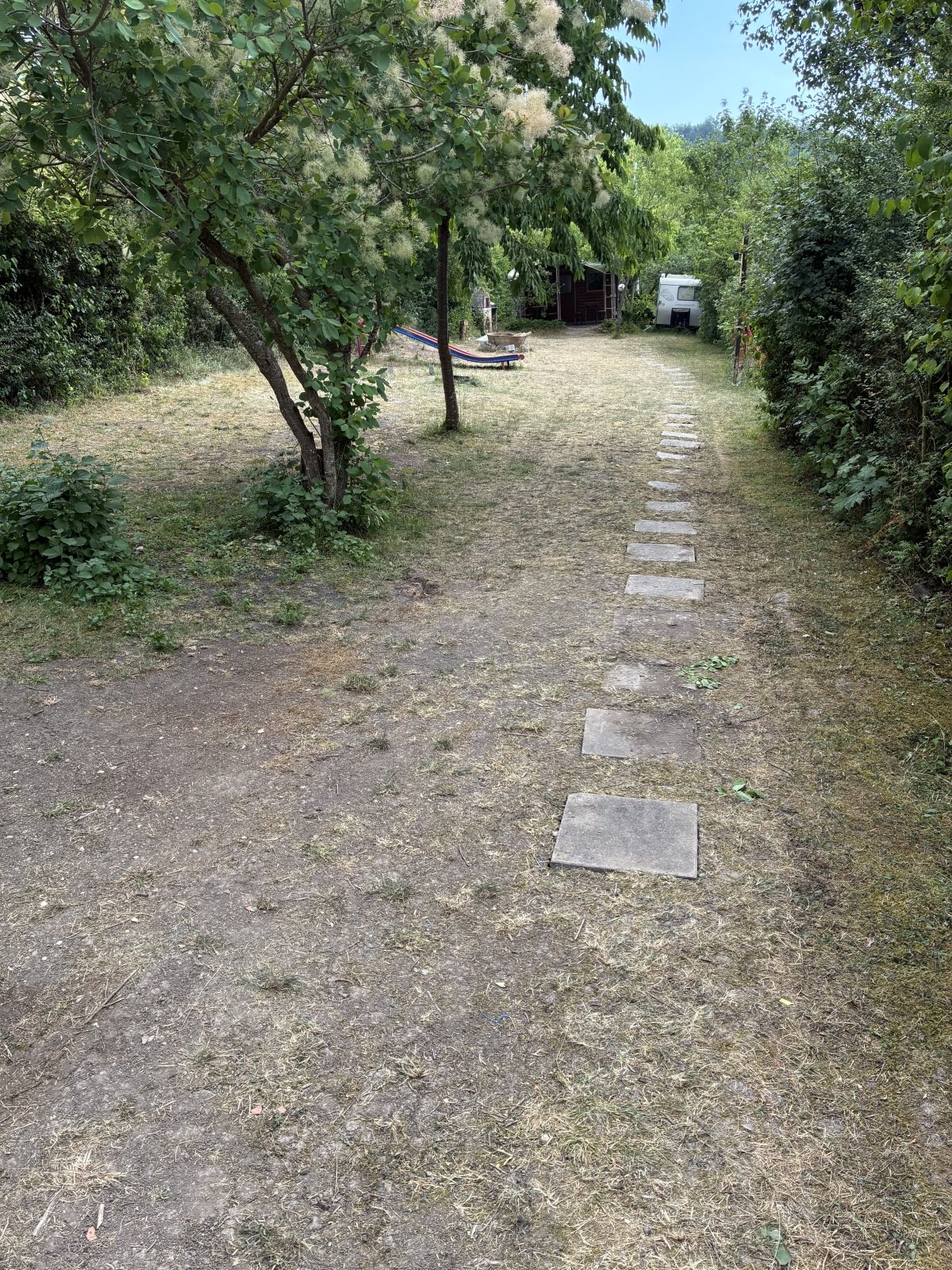 IMG_2470.jpeg