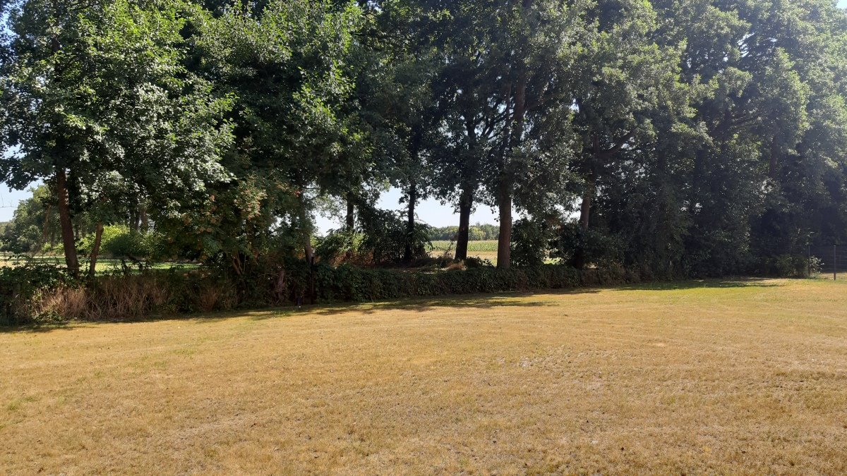20260809_121329.jpg