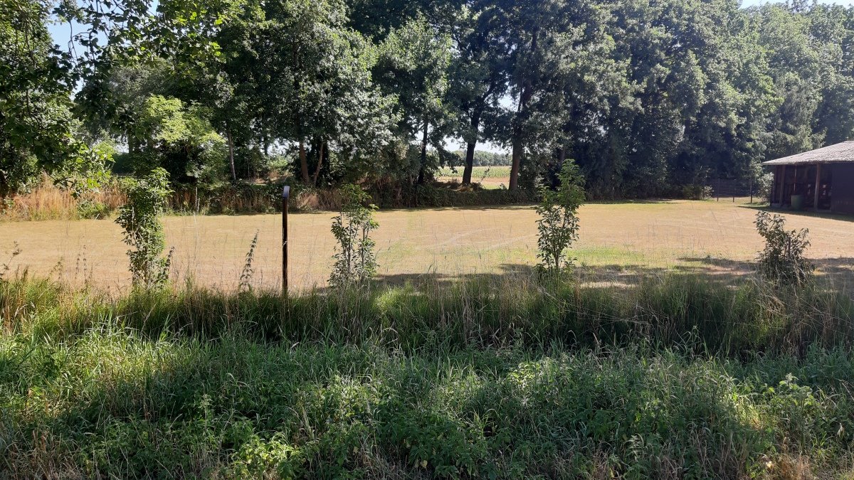 20260809_121512.jpg
