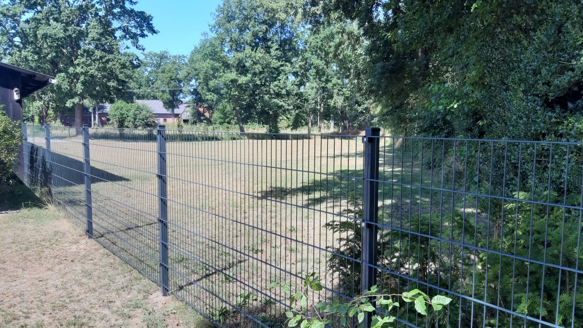 20260809_121848.jpg