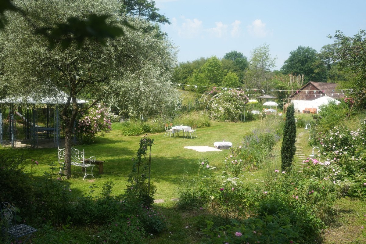 DSC00723.jpg