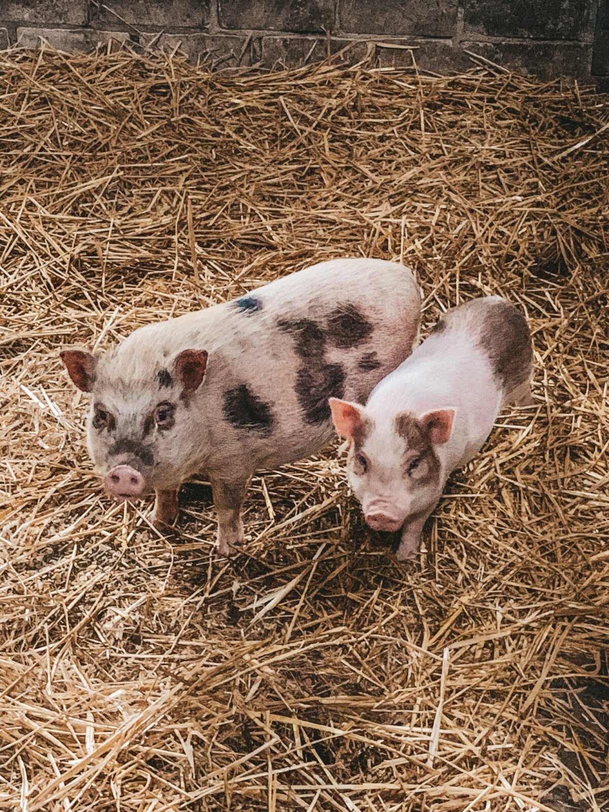 1683792319_IMG_2422