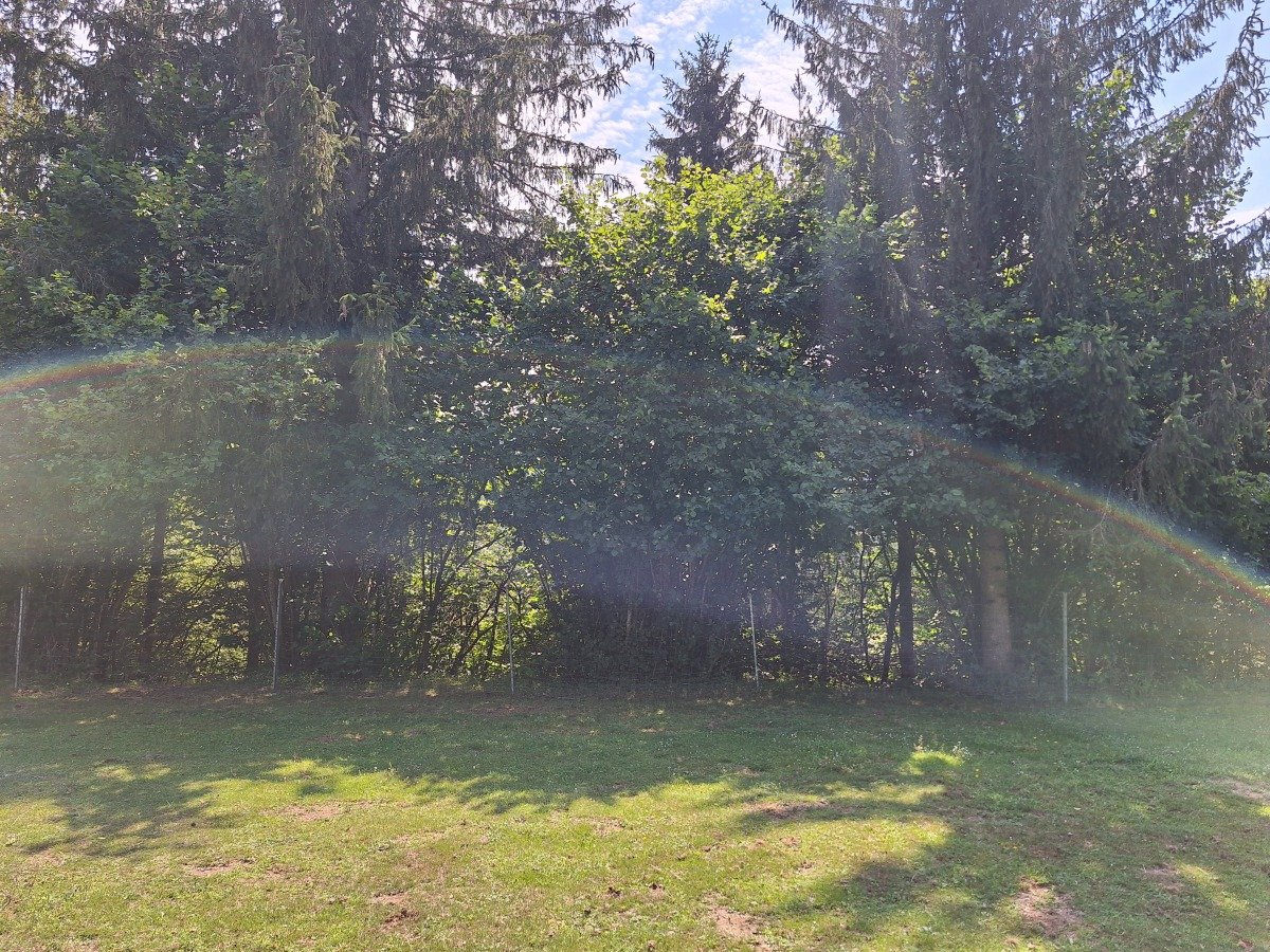 20260803_134651.jpg