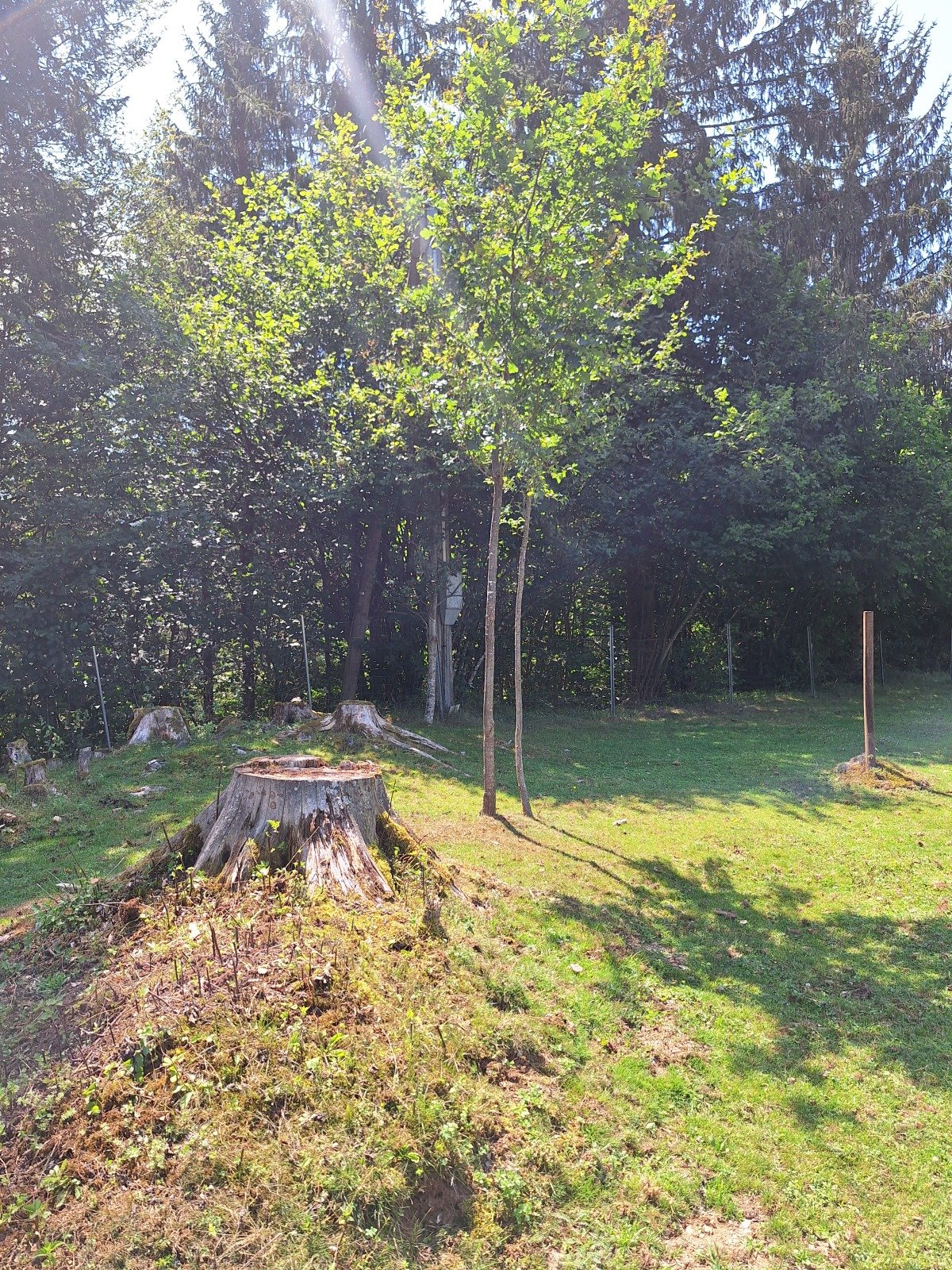 20260803_134803.jpg