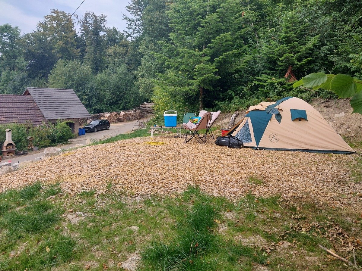 20260731_153853.jpg