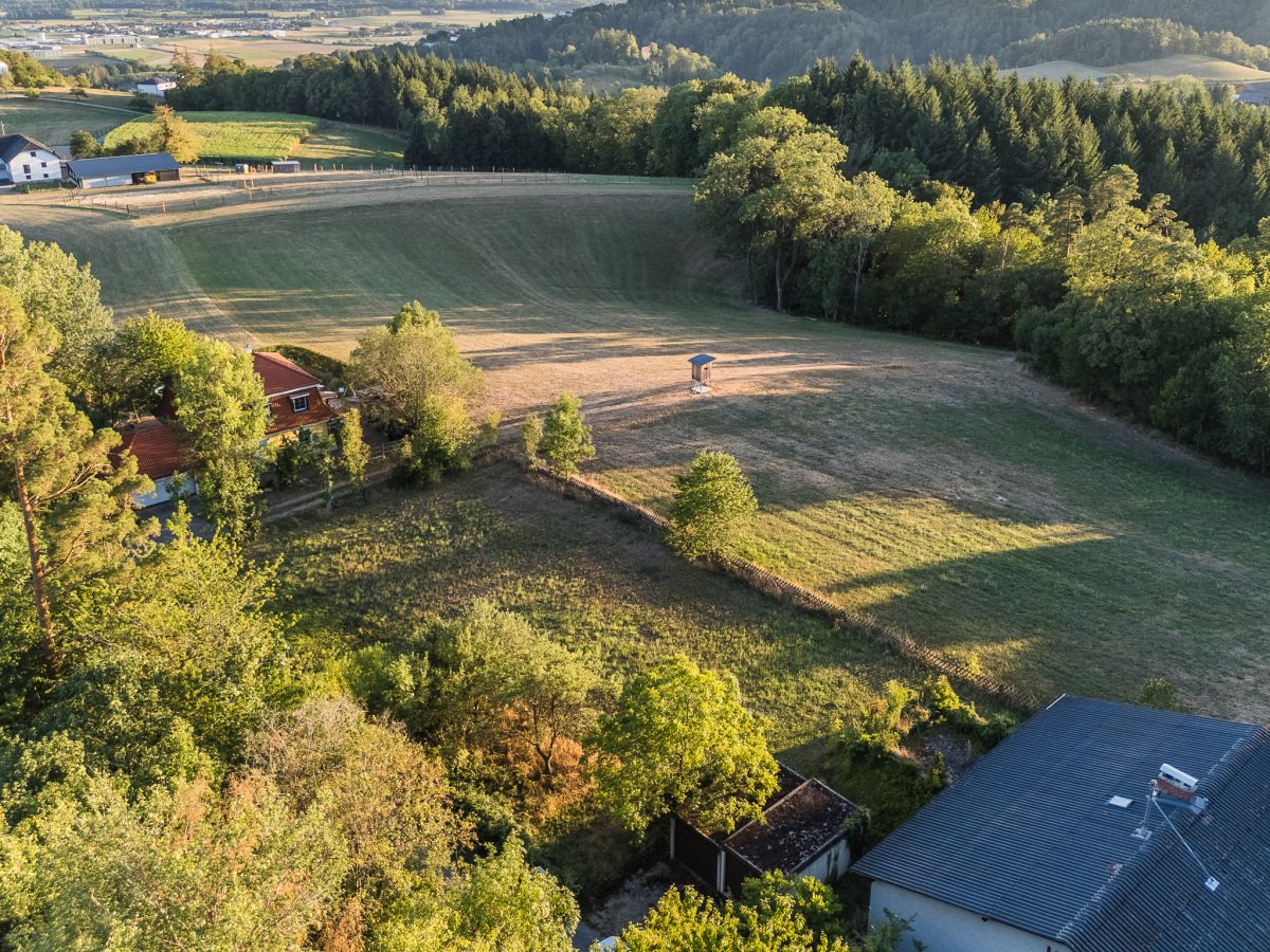 DJI_20260813193821_0771_D.jpg