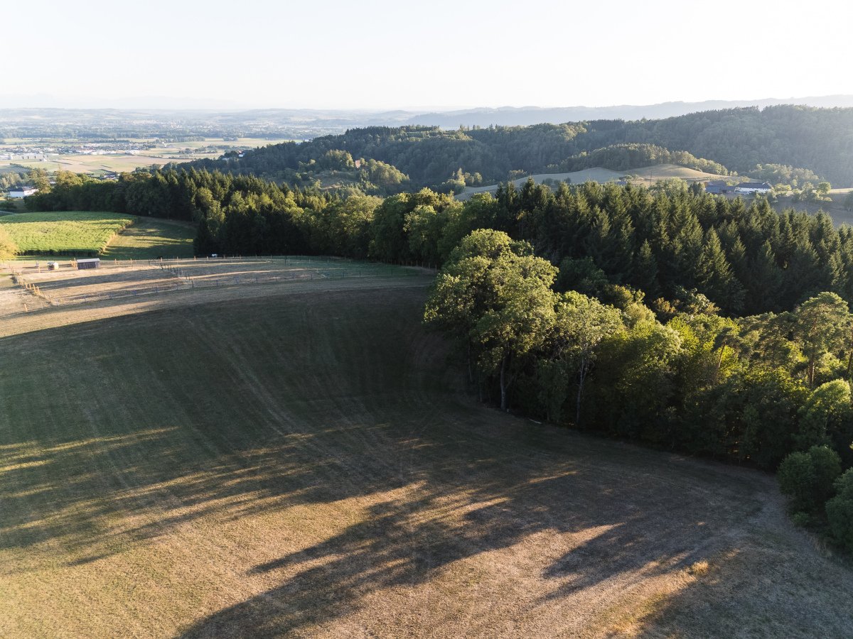 DJI_20260813193059_0762_D.jpg