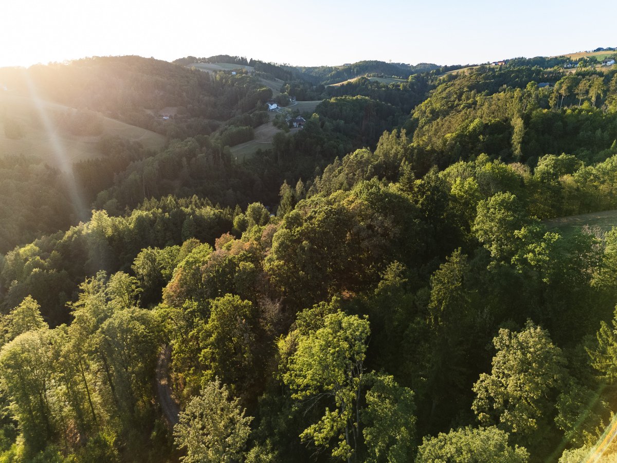 DJI_20260813193122_0763_D.jpg