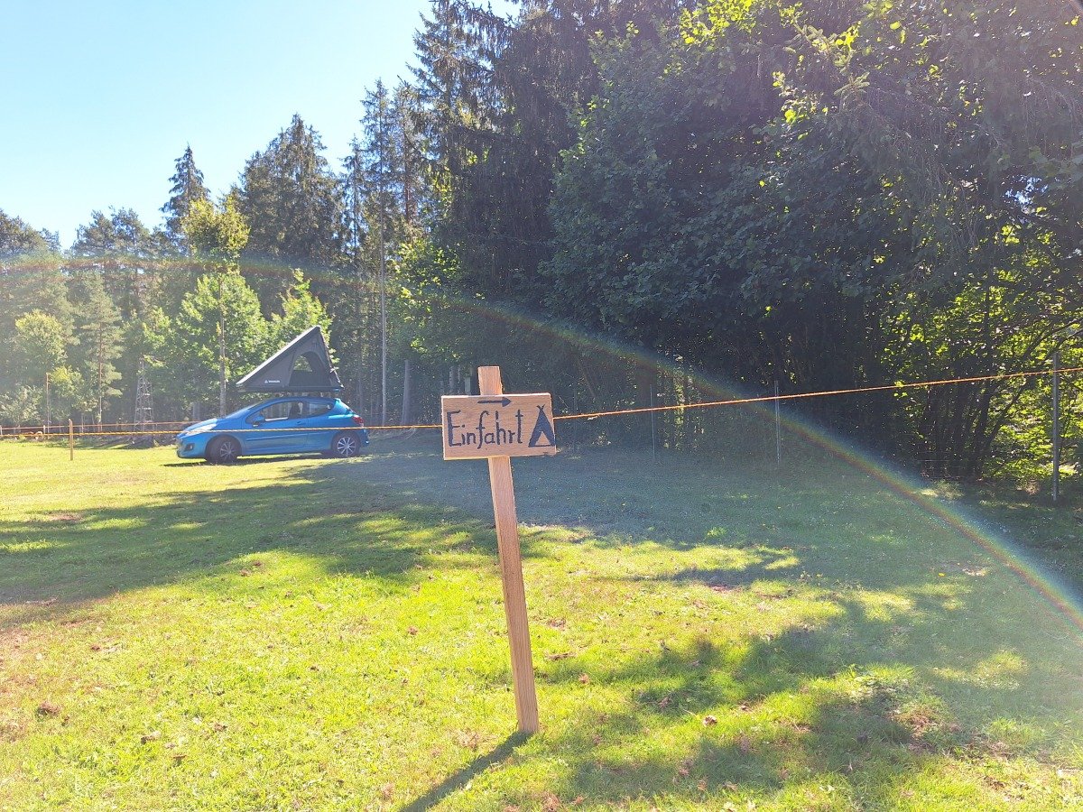 20260814_113742.jpg