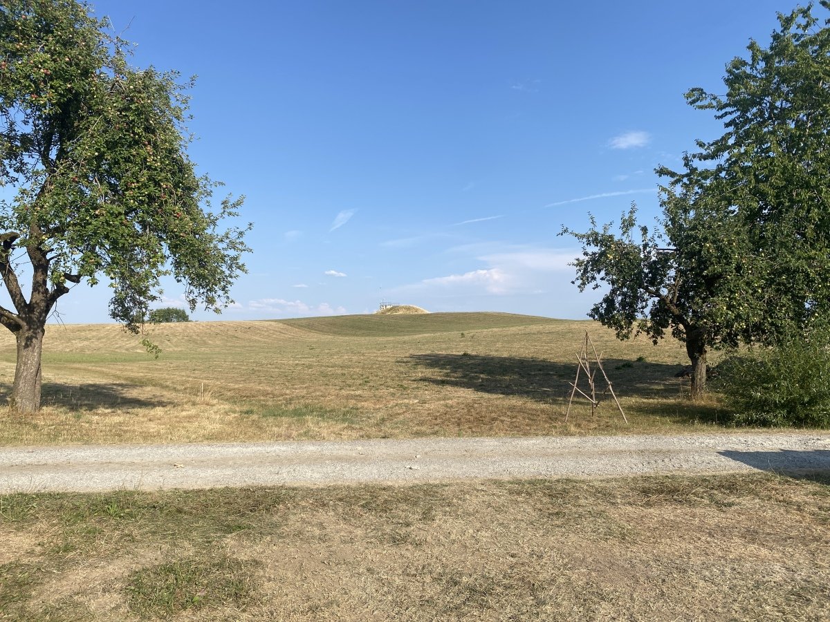 Waldbühl Aussichtspunkt