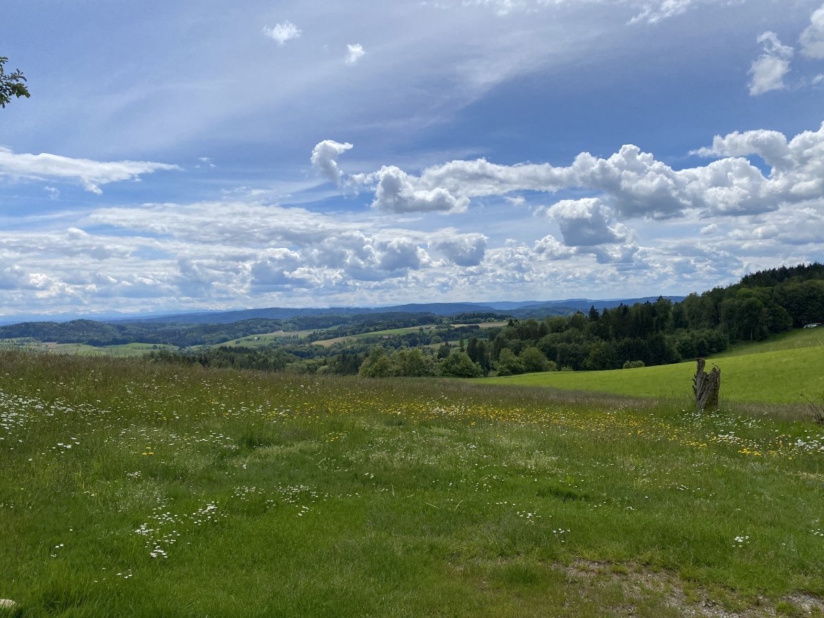 Aussicht