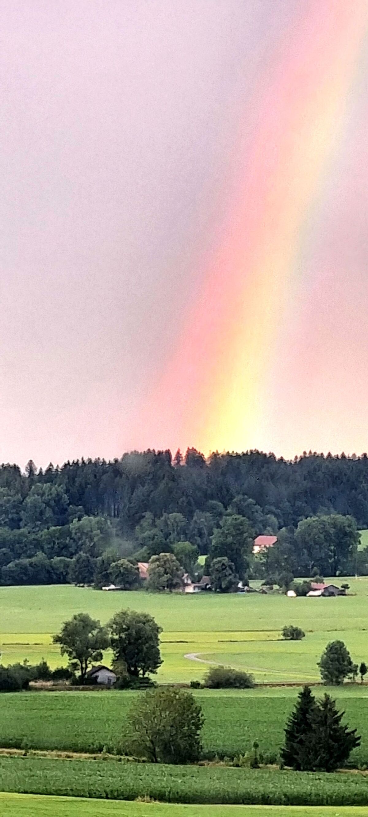 Regenbogen.jpg