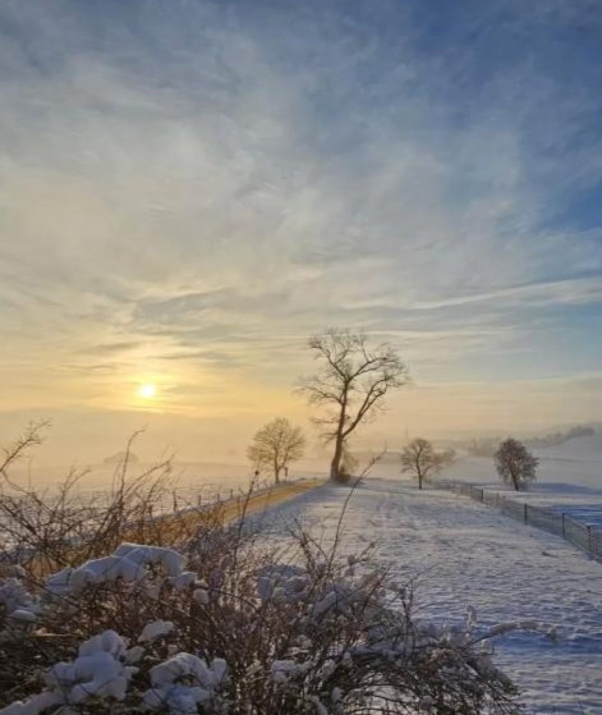 Winterstimmung.jpg