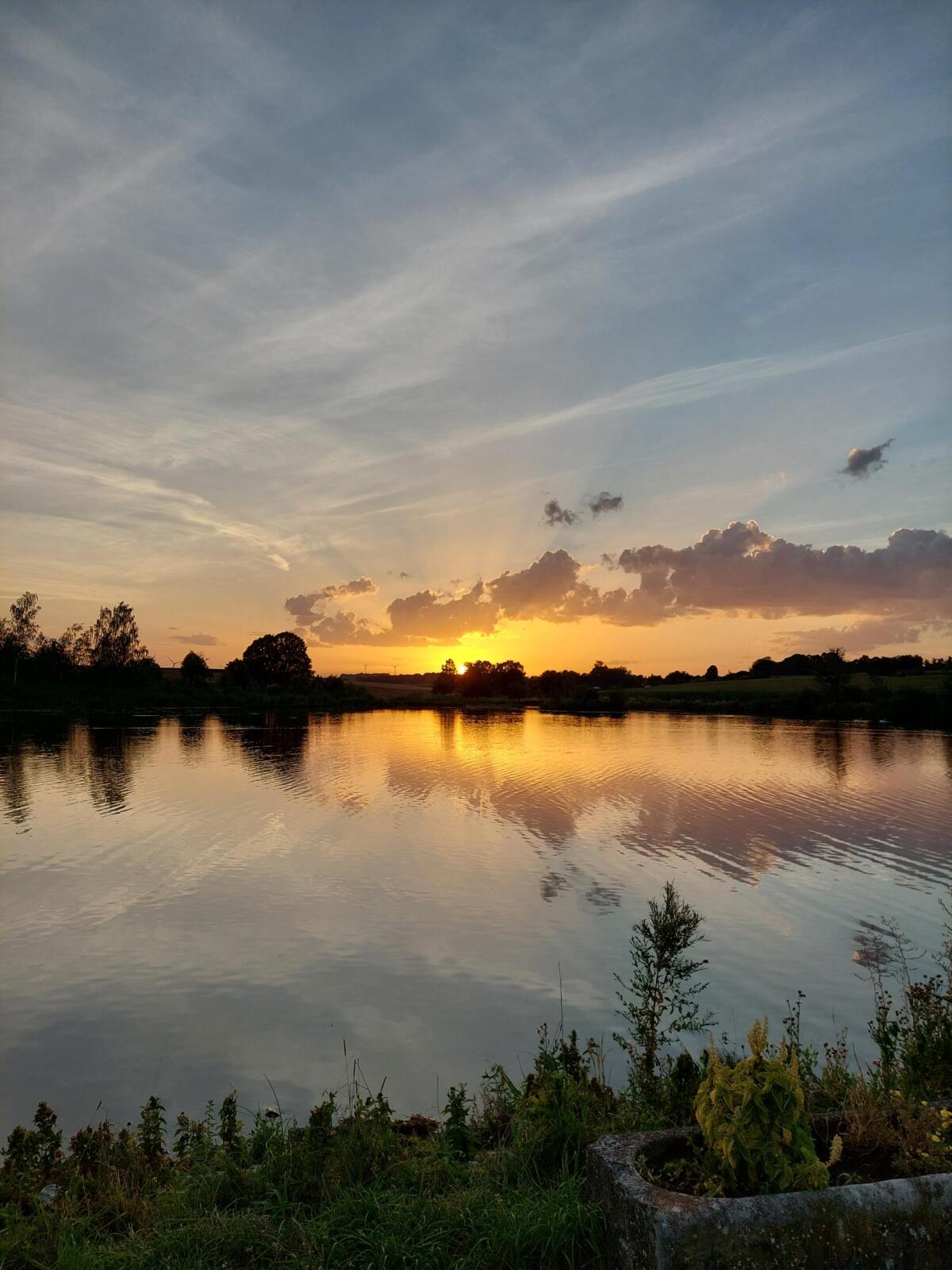 20260810_202949.jpg