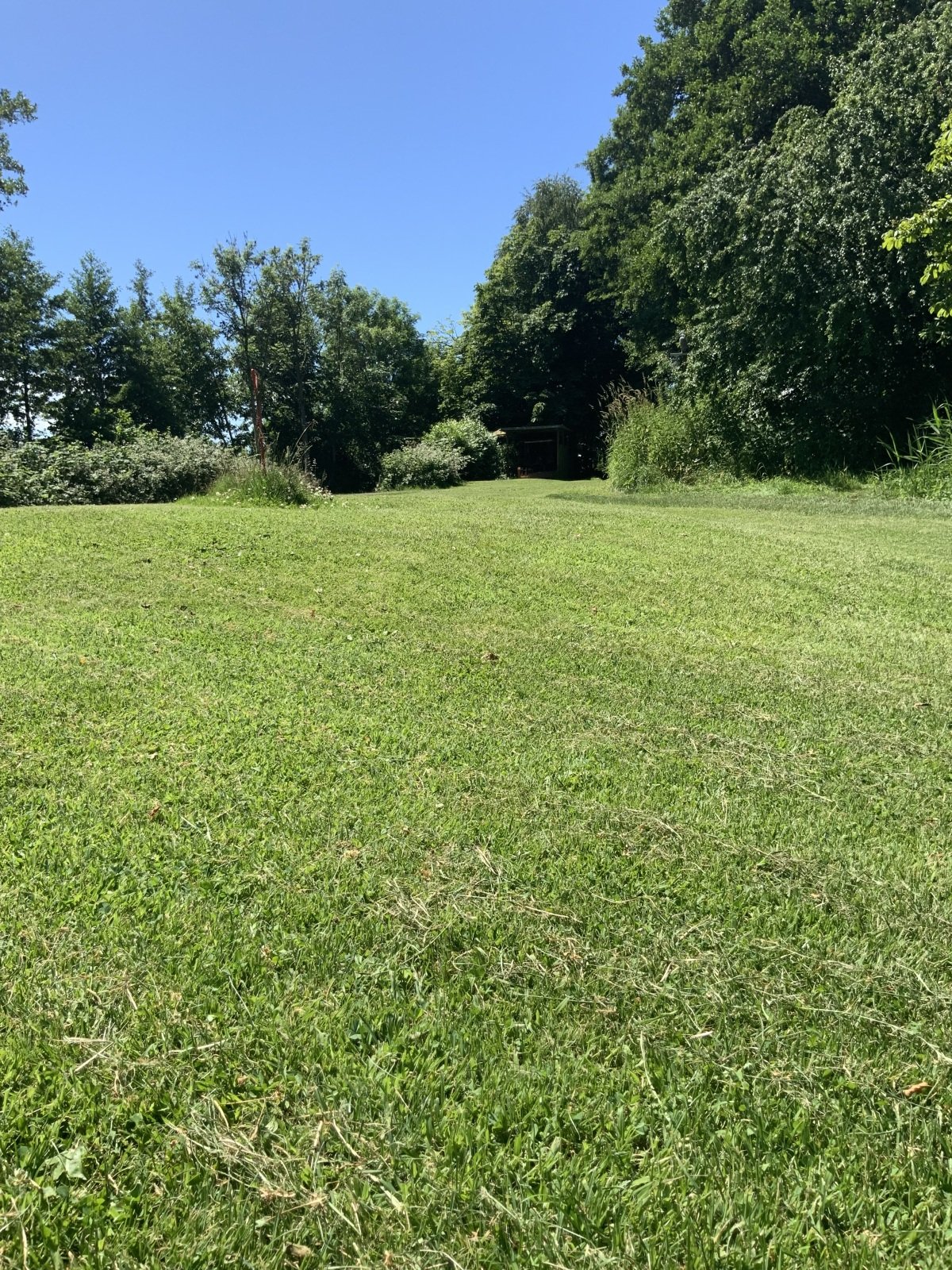 IMG_0762.jpeg