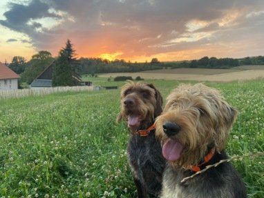Theo und Knut