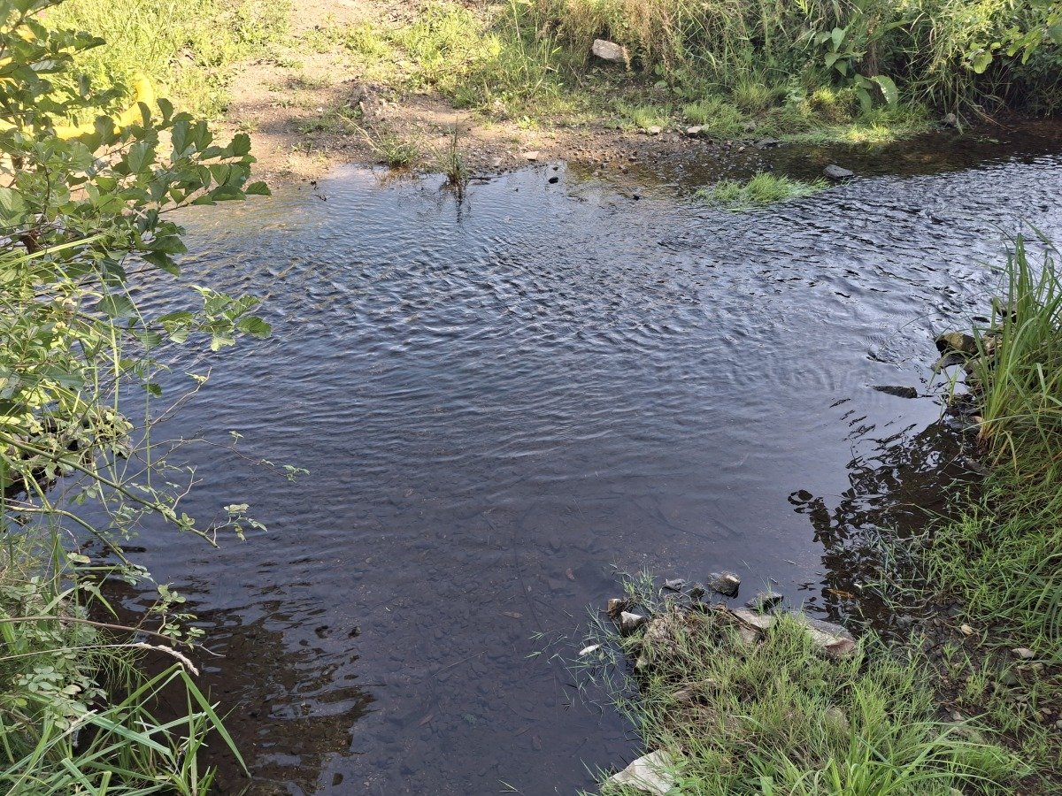 20260824_102032.jpg