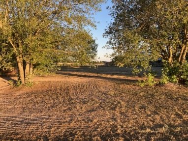 Stellplatz mit Blick nach Süden