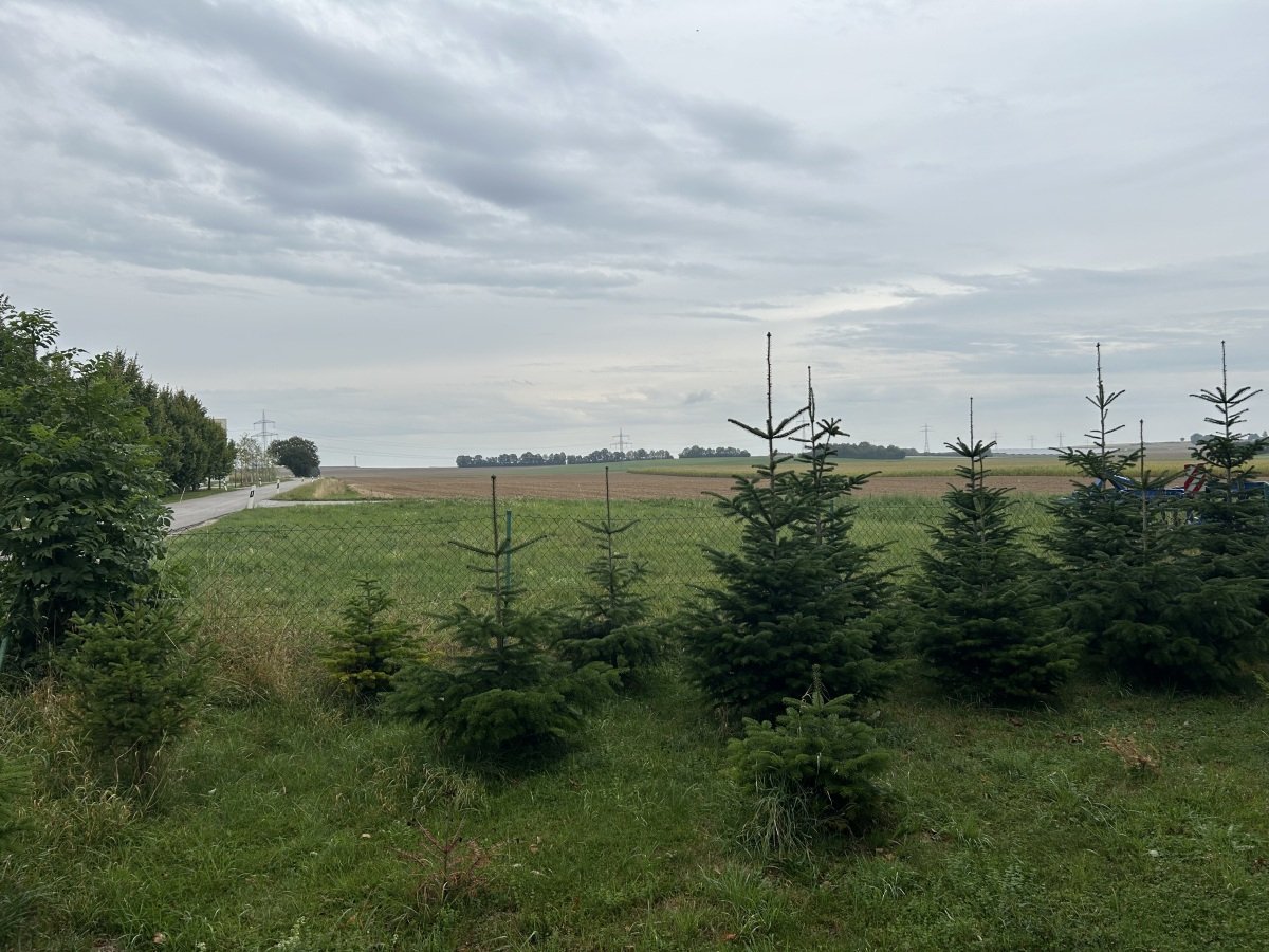 Stellplatz