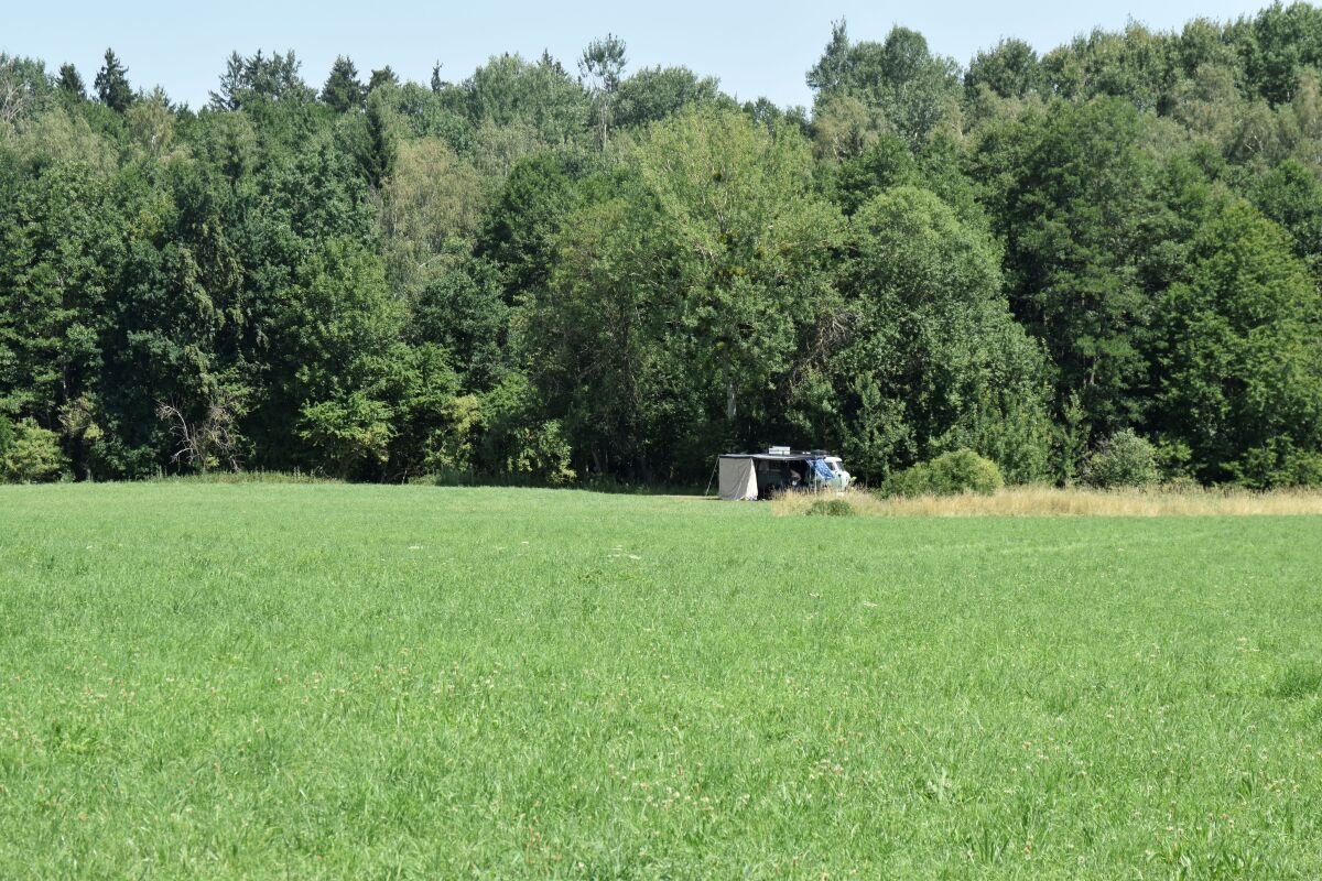 Platz 7 am Waldrand