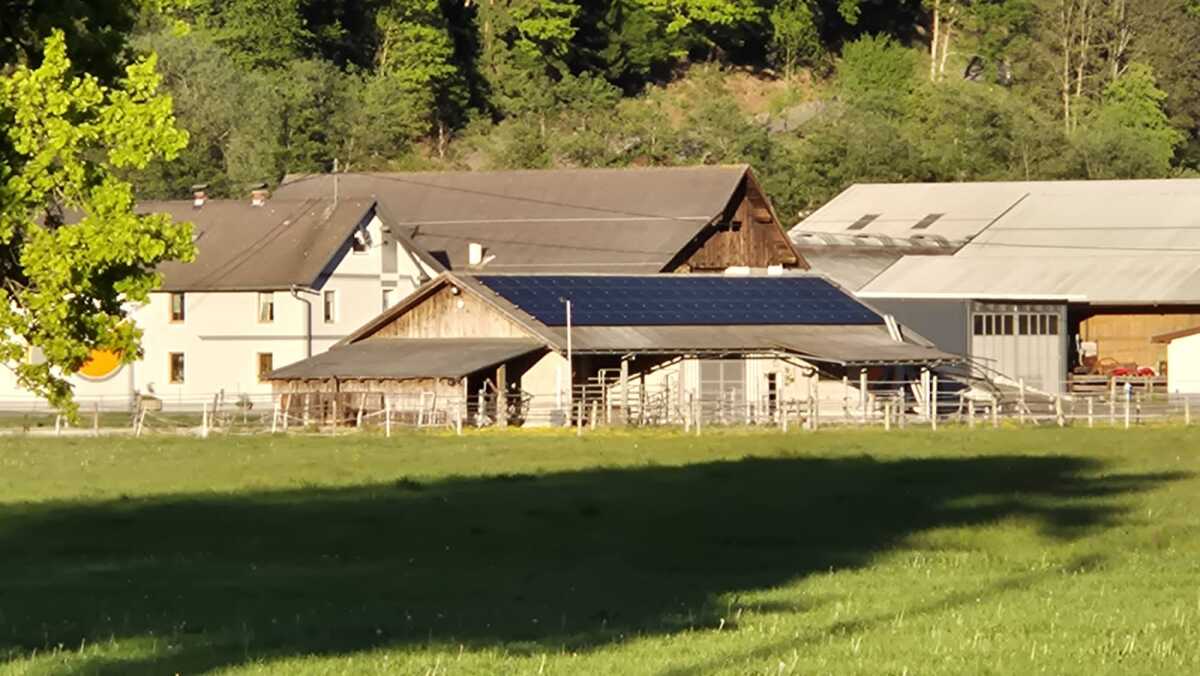 IMG-20260501-WA0096.jpeg