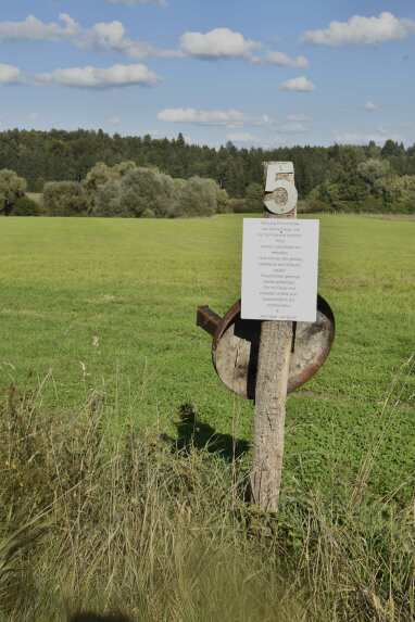 trockenes, gespaltenes Brennholz gibt`s am Hofladen