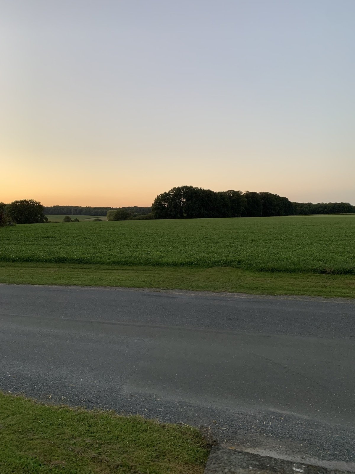 IMG_4720.jpeg
