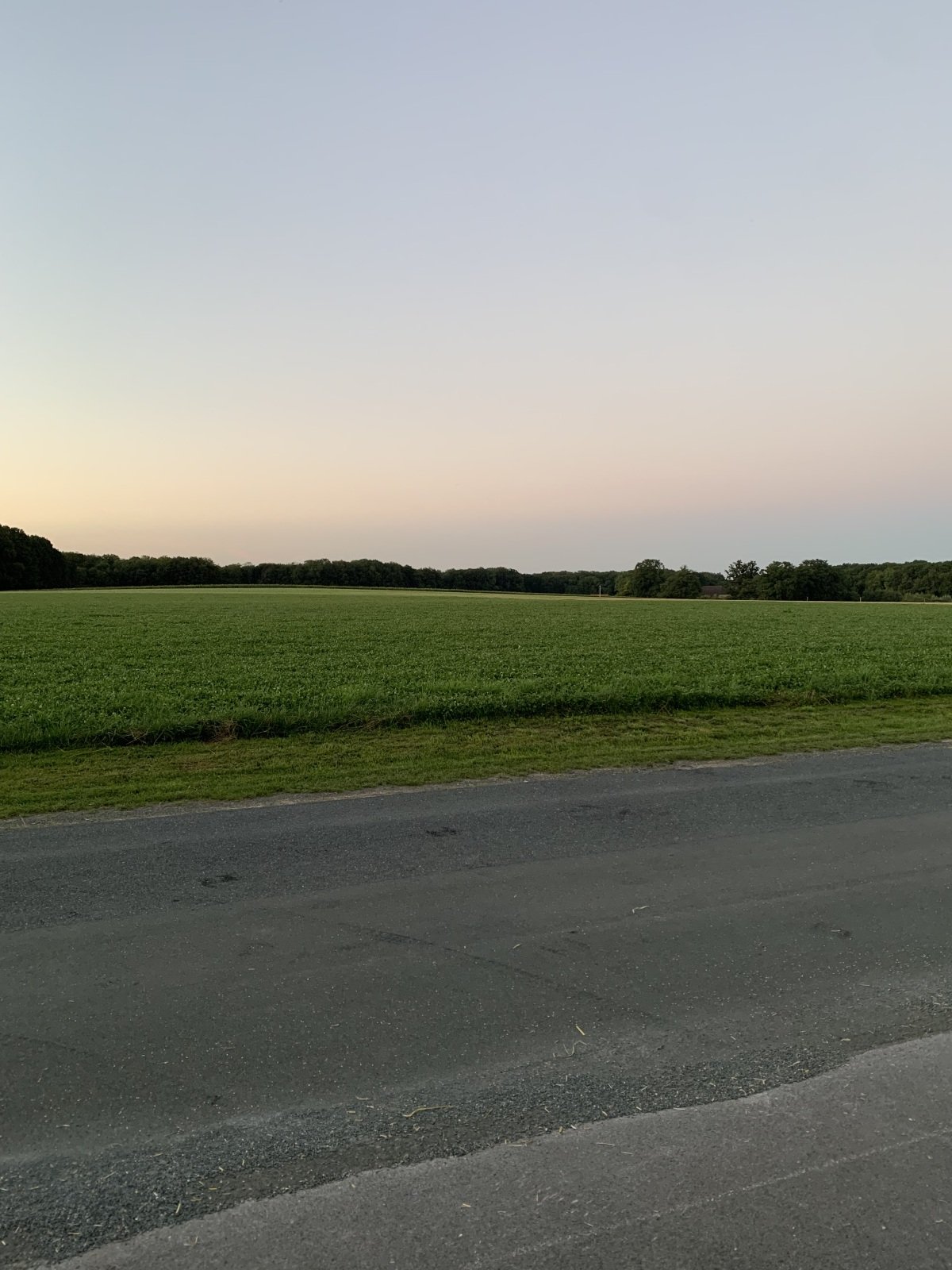 IMG_4719.jpeg