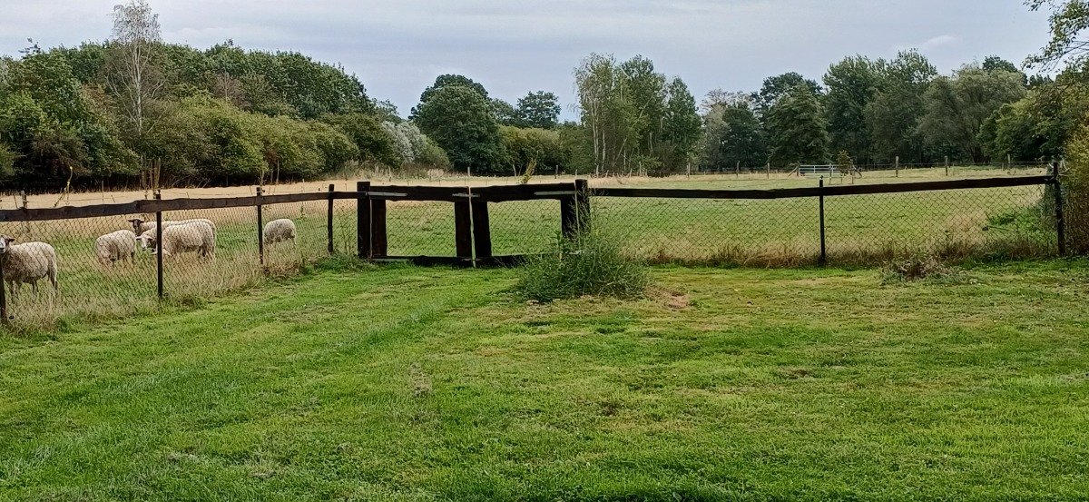 20260908_105718.jpg