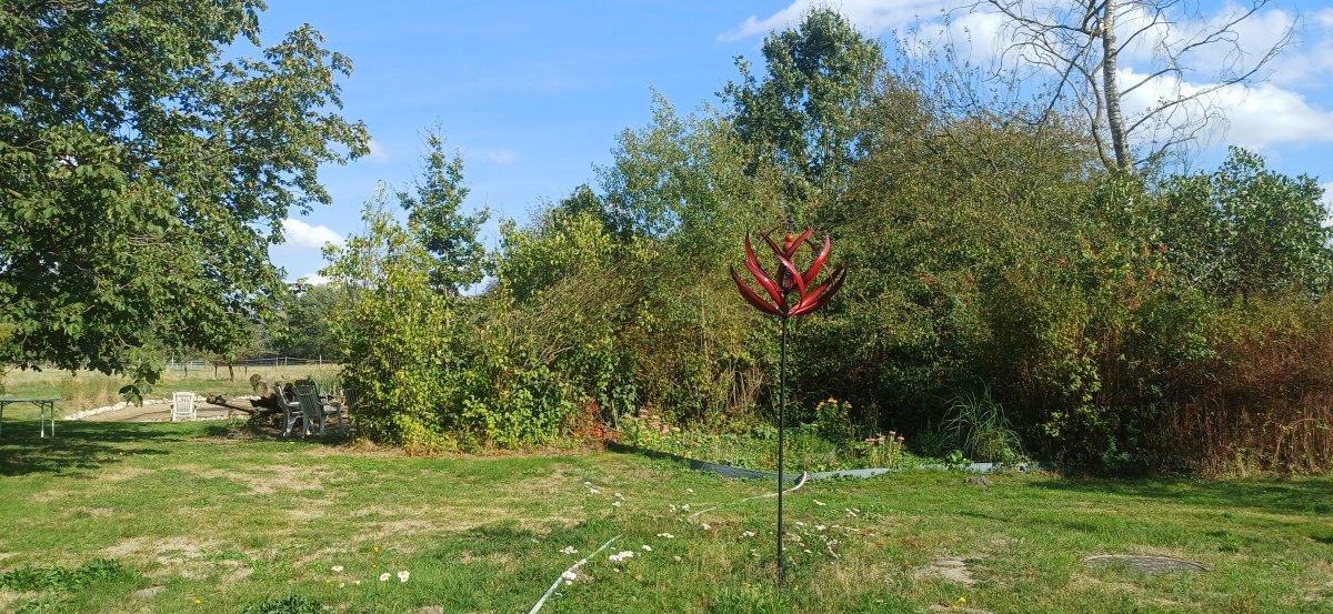 20260908_160454.jpg