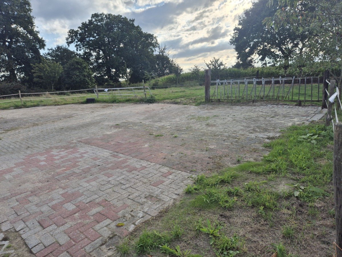 20260908_174317.jpg