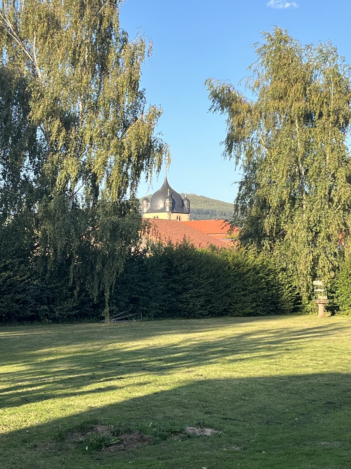 IMG_3229.jpeg