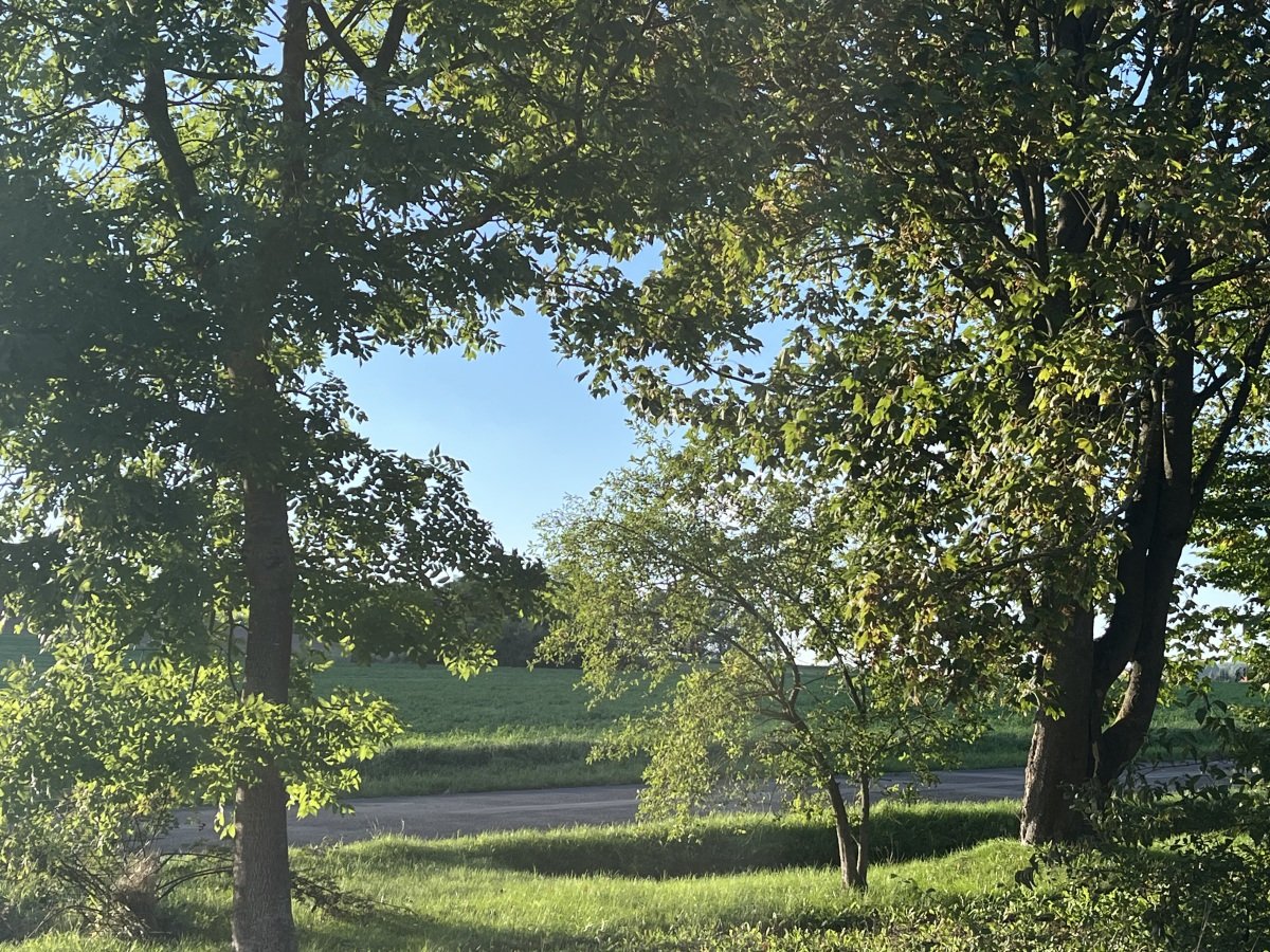 IMG_3224.jpeg
