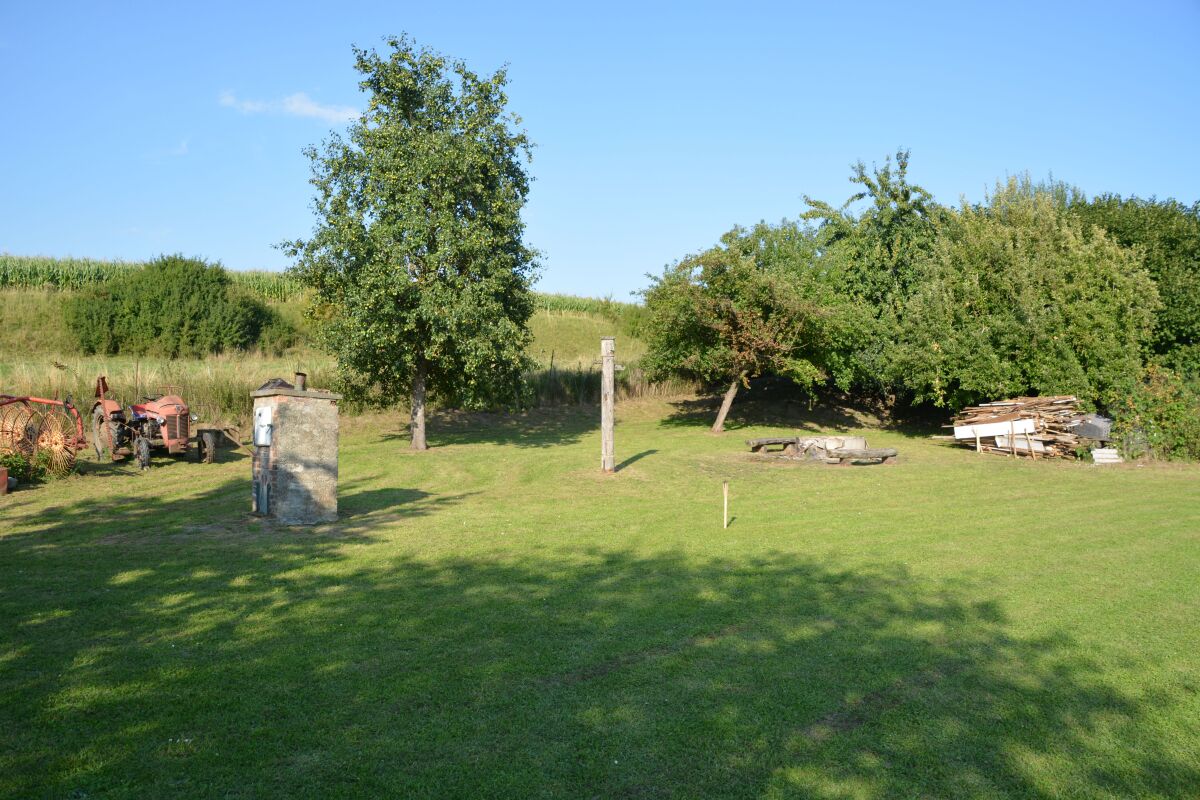 DSC_0733.JPG