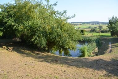 Naturteich angrenzend