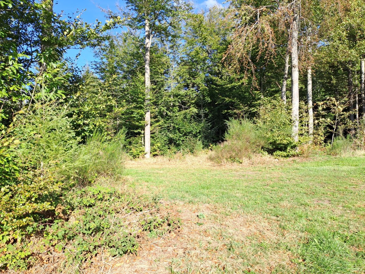 20260914_170619.jpg