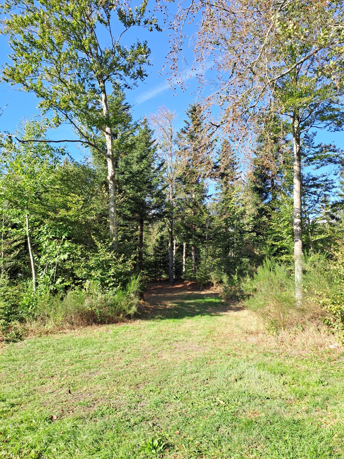20260914_170644.jpg