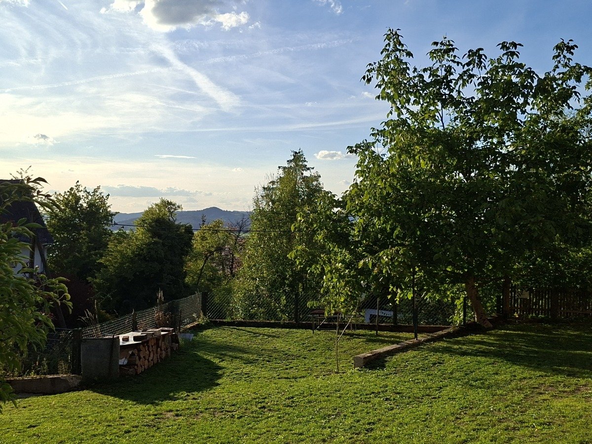 20260917_180206.jpg